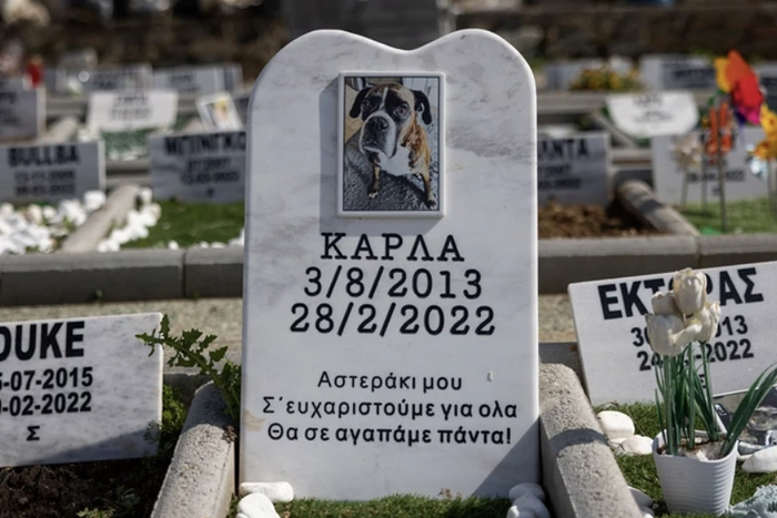 Νεκροταφείο Ζώων_Φωτο2